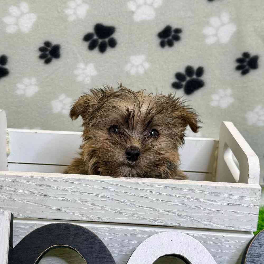 image_cropper_238704B8-D856-4502-82A4-C9439122873D-730-000000FCFACCDC35.jpg
