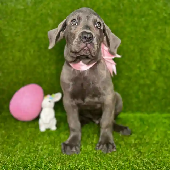 image_cropper_41E861A2-5C2F-4DBC-A9B6-920A423AEBD0-43003-000016C9391AD407.jpg