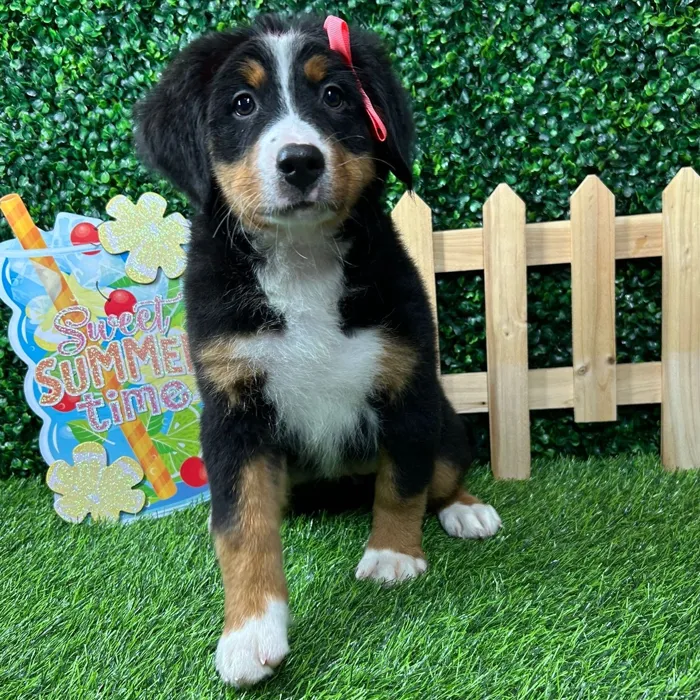 image_cropper_2356B6EF-8711-4788-94FB-383297C40E89-3743-000000E64D54EC26.jpg