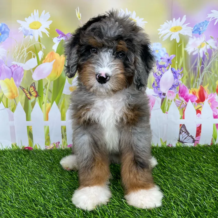 image_cropper_8A71A6BF-13E4-4C5E-B47E-213CF9257B63-87392-000021C1877CAD4E.jpg