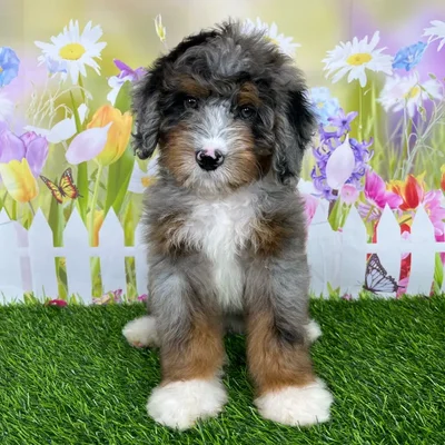 image_cropper_8A71A6BF-13E4-4C5E-B47E-213CF9257B63-87392-000021C1877CAD4E.jpg