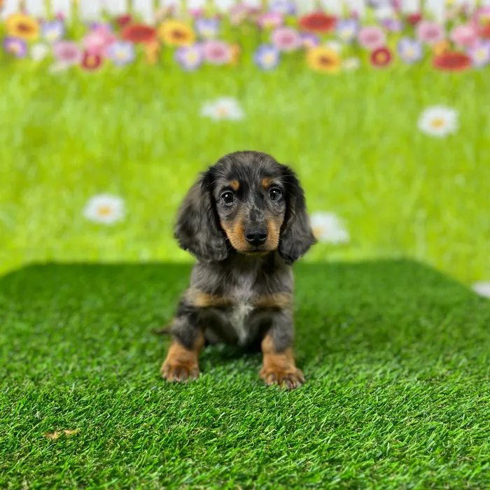 image_cropper_A7CA1E78-50B1-4DD3-9D9F-AD21CC47E44A-50778-00000545E4AC6361.jpg